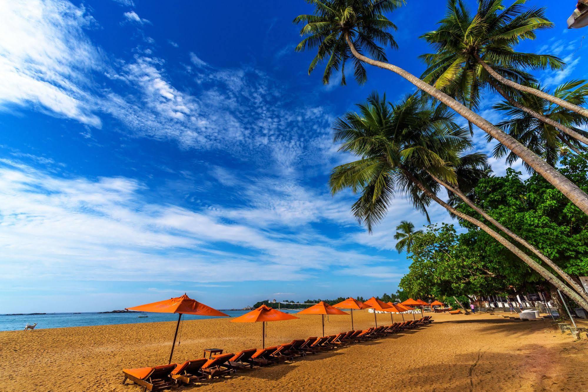 Calamander Unawatuna Beach Exteriör bild
